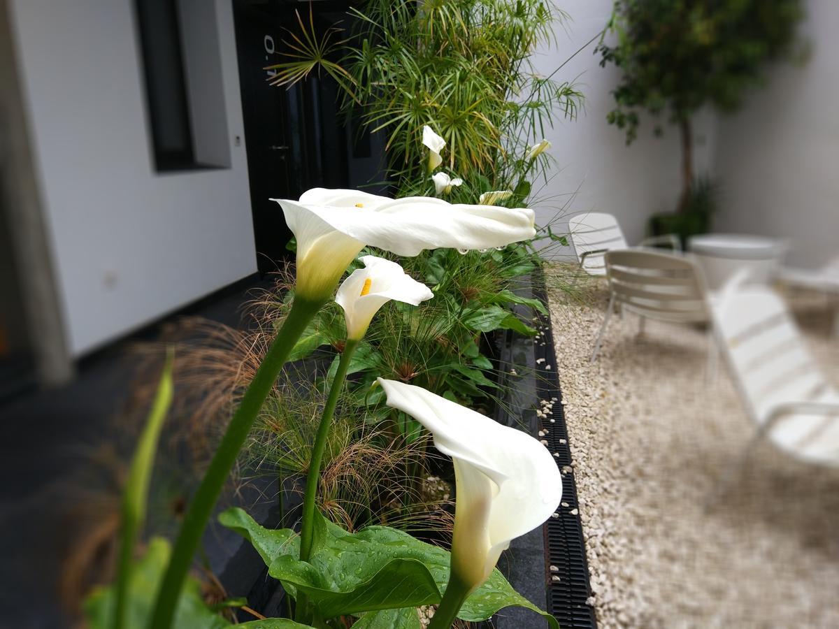 Apartamentos Cordoba Atrium Экстерьер фото